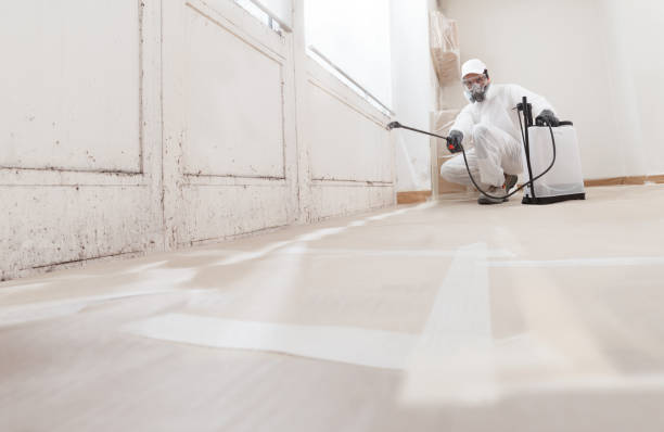 24/7 Emergency Black Mold Remediation experts in Kingsford, MI